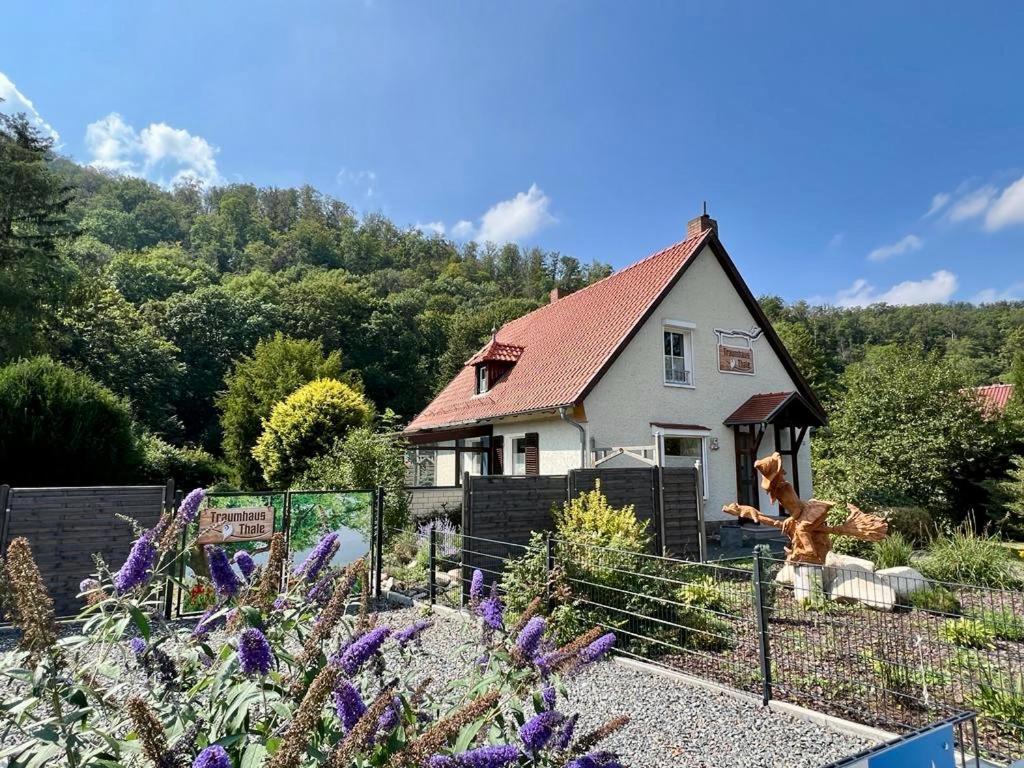 Traumhaus Thale Mit Sauna Und Kamin Luaran gambar